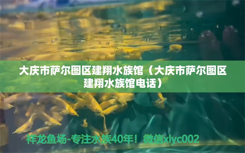 大慶市薩爾圖區(qū)建翔水族館（大慶市薩爾圖區(qū)建翔水族館電話）