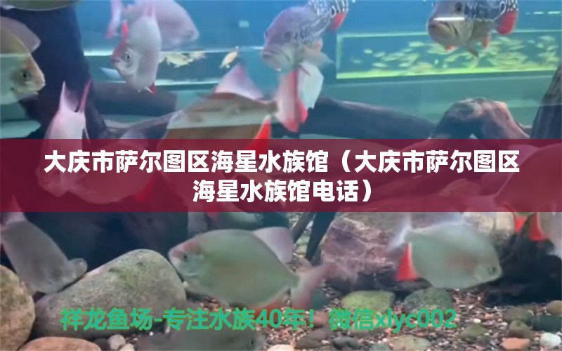 大慶市薩爾圖區(qū)海星水族館（大慶市薩爾圖區(qū)海星水族館電話）