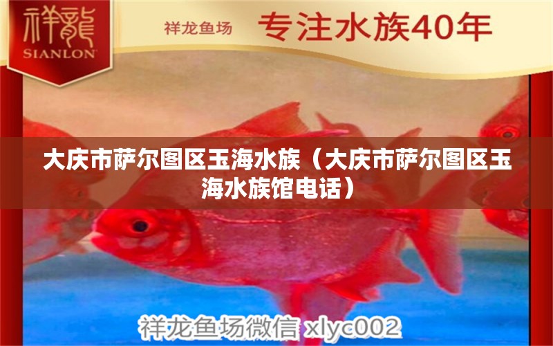 大慶市薩爾圖區(qū)玉海水族（大慶市薩爾圖區(qū)玉海水族館電話）