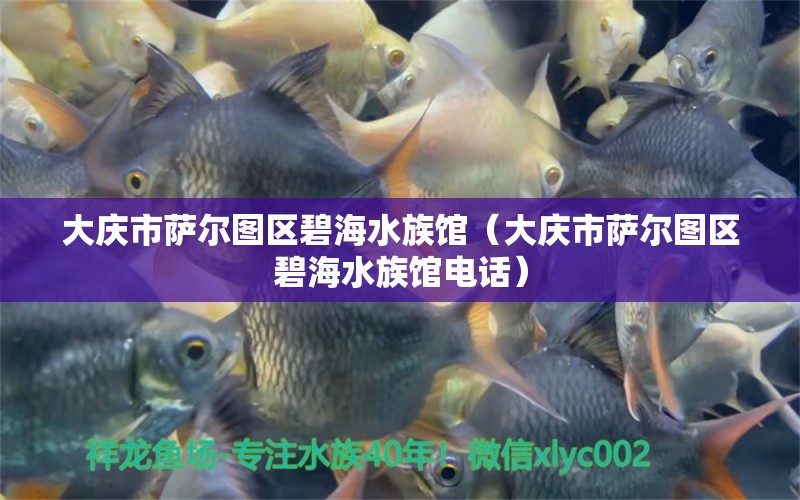 大慶市薩爾圖區(qū)碧海水族館（大慶市薩爾圖區(qū)碧海水族館電話(huà)）