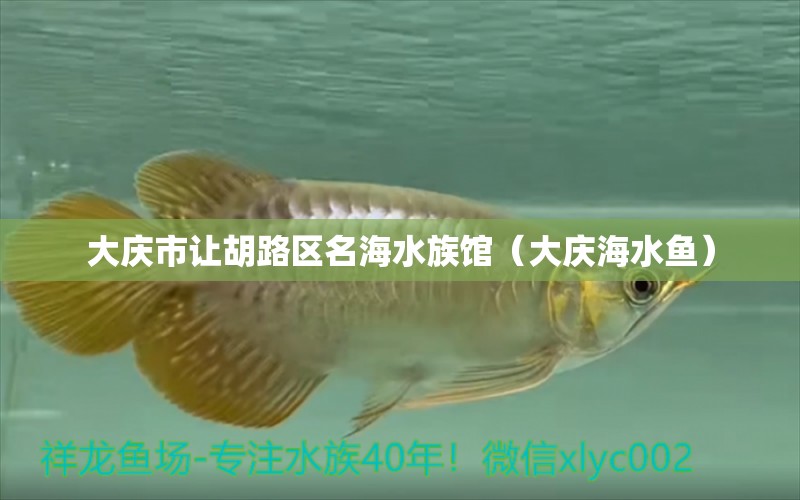 大慶市讓胡路區(qū)名海水族館（大慶海水魚(yú)）