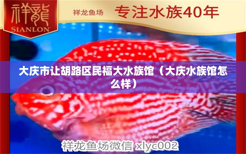 大慶市讓胡路區(qū)民福大水族館（大慶水族館怎么樣）