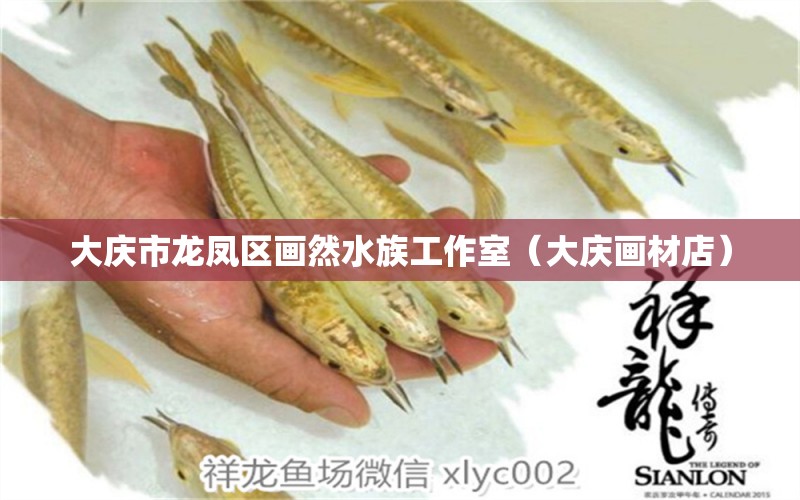 大慶市龍鳳區(qū)畫然水族工作室（大慶畫材店） 全國(guó)水族館企業(yè)名錄