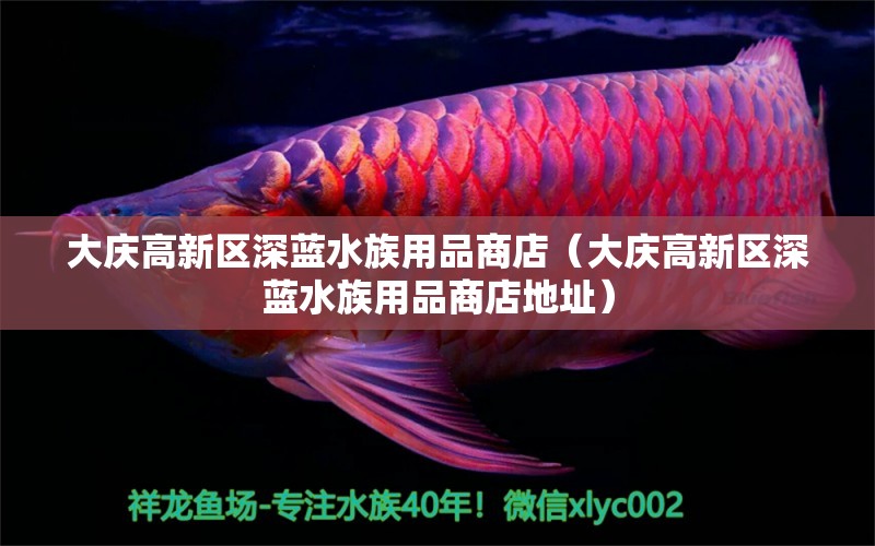 大慶高新區(qū)深藍水族用品商店（大慶高新區(qū)深藍水族用品商店地址） 水族用品