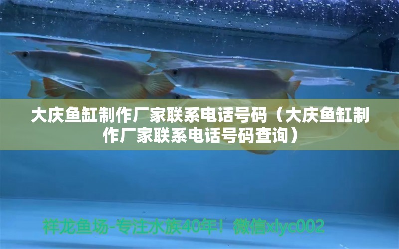 大慶魚缸制作廠家聯(lián)系電話號碼（大慶魚缸制作廠家聯(lián)系電話號碼查詢） 黑帝王魟魚