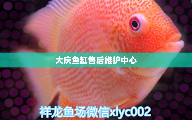 大慶魚缸售后維護(hù)中心