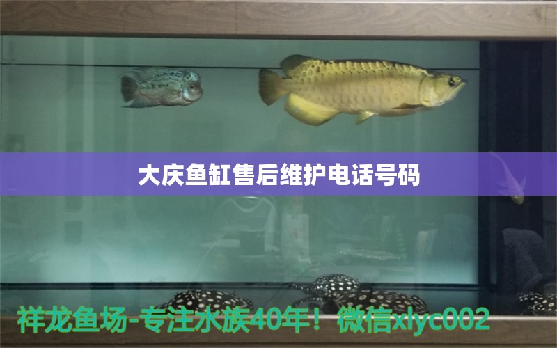 大慶魚缸售后維護電話號碼