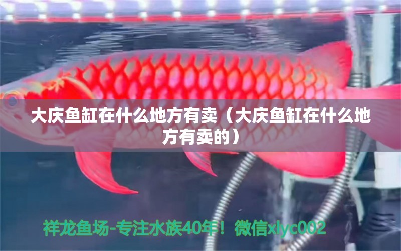 大慶魚(yú)缸在什么地方有賣(mài)（大慶魚(yú)缸在什么地方有賣(mài)的）