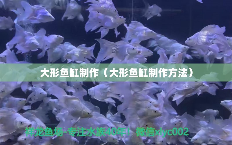 大形魚缸制作（大形魚缸制作方法）