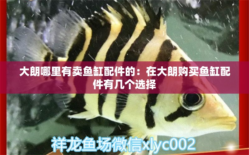 大朗哪里有賣魚缸配件的：在大朗購買魚缸配件有幾個選擇 魚缸百科 第2張