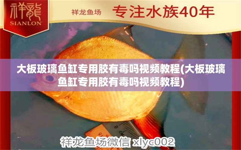 大板玻璃魚缸專用膠有毒嗎視頻教程(大板玻璃魚缸專用膠有毒嗎視頻教程) 肥料 第1張