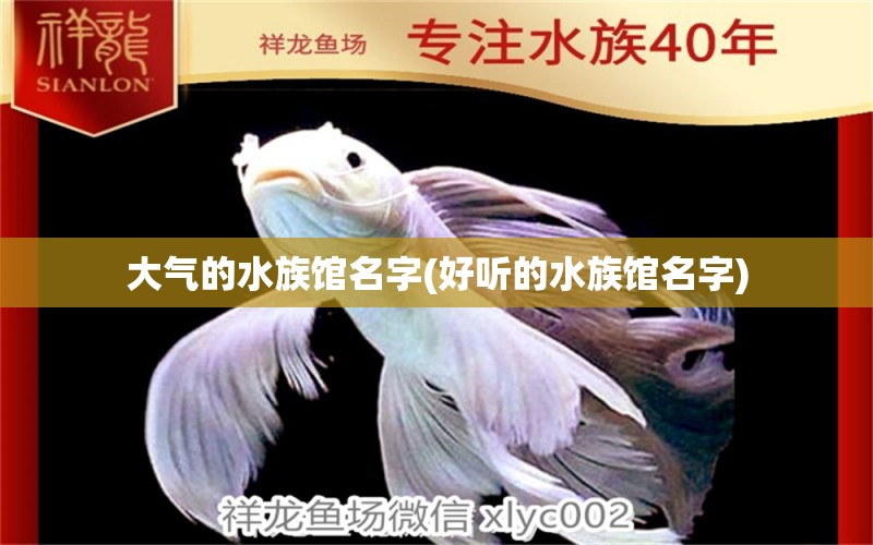 大氣的水族館名字(好聽的水族館名字) 2024第28屆中國國際寵物水族展覽會CIPS（長城寵物展2024 CIPS） 第1張