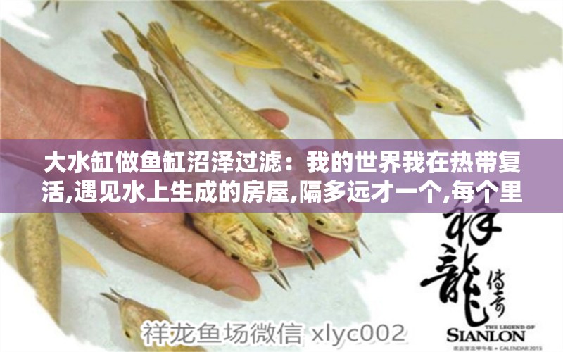 大水缸做魚缸沼澤過(guò)濾：我的世界我在熱帶復(fù)活,遇見(jiàn)水上生成的房屋,隔多遠(yuǎn)才一個(gè),每個(gè)里面都有一個(gè)水缸,一個(gè)工作臺(tái),一盆蘑菇