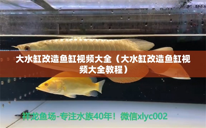 大水缸改造魚缸視頻大全（大水缸改造魚缸視頻大全教程） 祥龍水族醫(yī)院