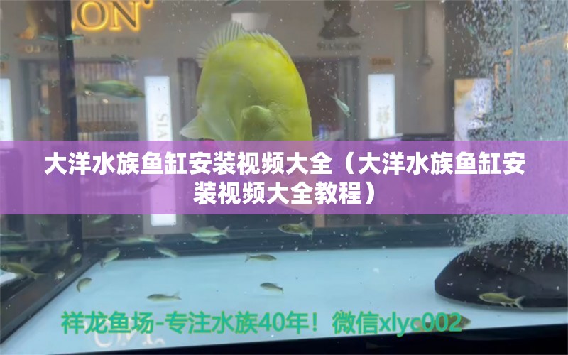 大洋水族魚(yú)缸安裝視頻大全（大洋水族魚(yú)缸安裝視頻大全教程） 祥龍水族醫(yī)院