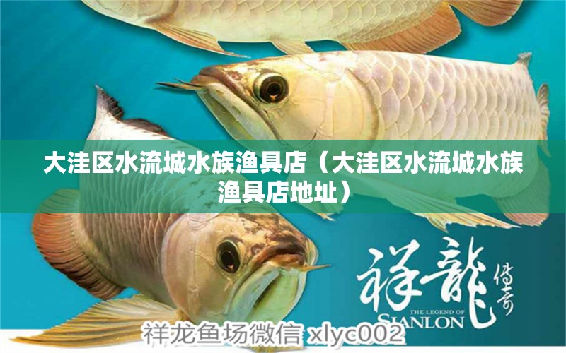 大洼區(qū)水流城水族漁具店（大洼區(qū)水流城水族漁具店地址）