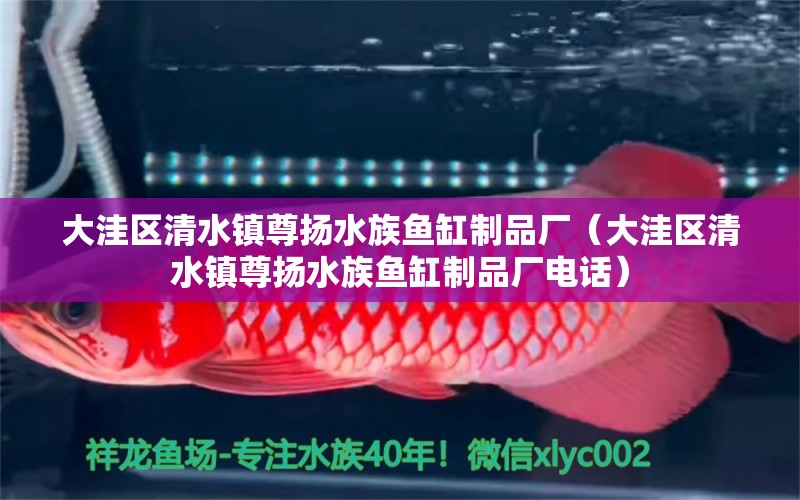 大洼區(qū)清水鎮(zhèn)尊揚(yáng)水族魚缸制品廠（大洼區(qū)清水鎮(zhèn)尊揚(yáng)水族魚缸制品廠電話）