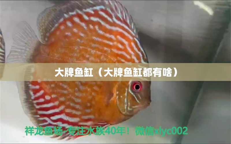 大牌魚(yú)缸（大牌魚(yú)缸都有啥）