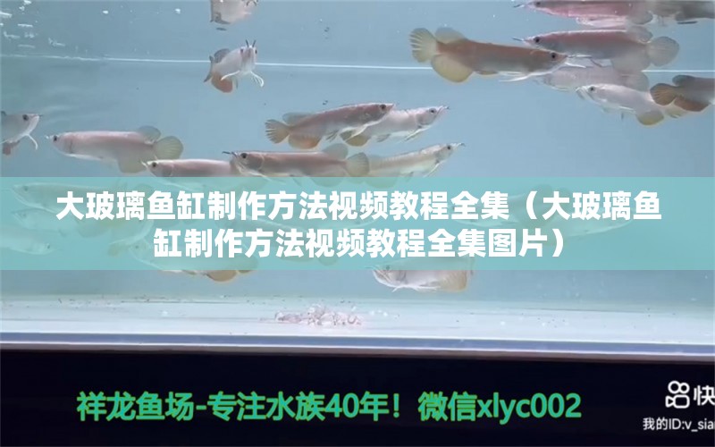 大玻璃魚缸制作方法視頻教程全集（大玻璃魚缸制作方法視頻教程全集圖片）