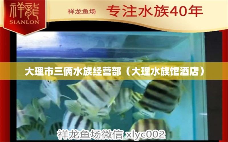 大理市三倆水族經(jīng)營部（大理水族館酒店）