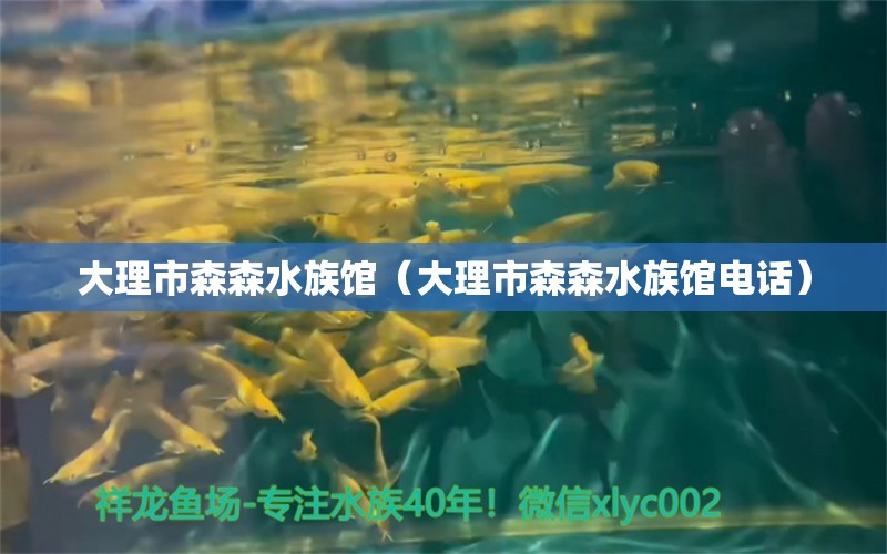 大理市森森水族館（大理市森森水族館電話）