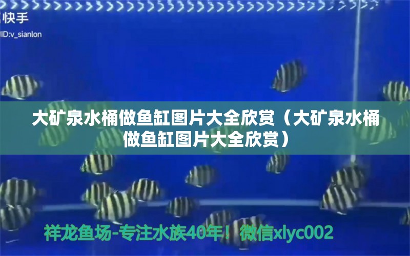 大礦泉水桶做魚缸圖片大全欣賞（大礦泉水桶做魚缸圖片大全欣賞）