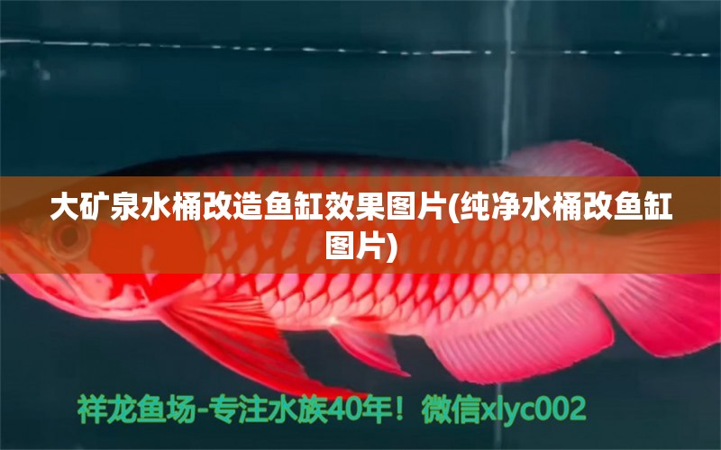 大礦泉水桶改造魚缸效果圖片(純凈水桶改魚缸圖片) 哥倫比亞巨暴魚苗