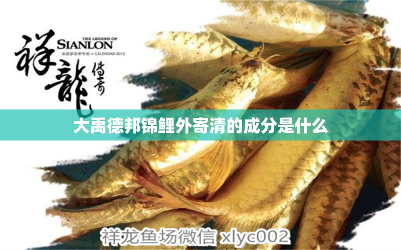 大禹德邦錦鯉外寄清的成分是什么 野彩魚(yú)