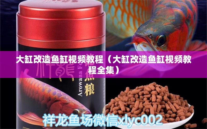 大缸改造魚(yú)缸視頻教程（大缸改造魚(yú)缸視頻教程全集）