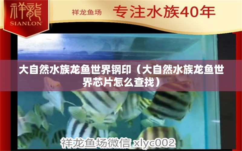 大自然水族龍魚世界鋼?。ù笞匀凰妪堲~世界芯片怎么查找）