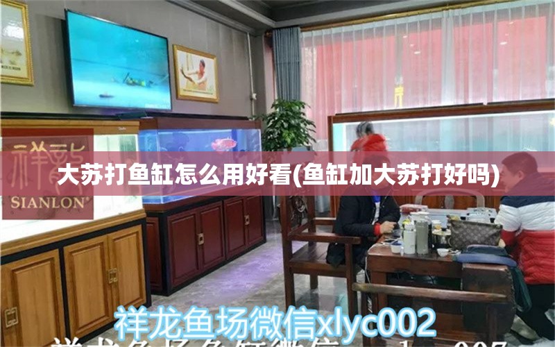 大蘇打魚缸怎么用好看(魚缸加大蘇打好嗎) 其他品牌魚缸