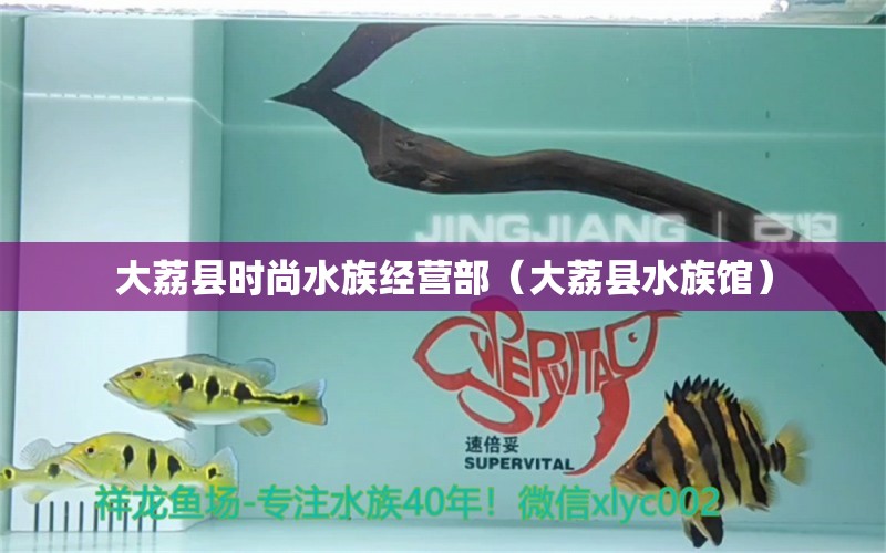 大荔縣時尚水族經(jīng)營部（大荔縣水族館） 全國水族館企業(yè)名錄