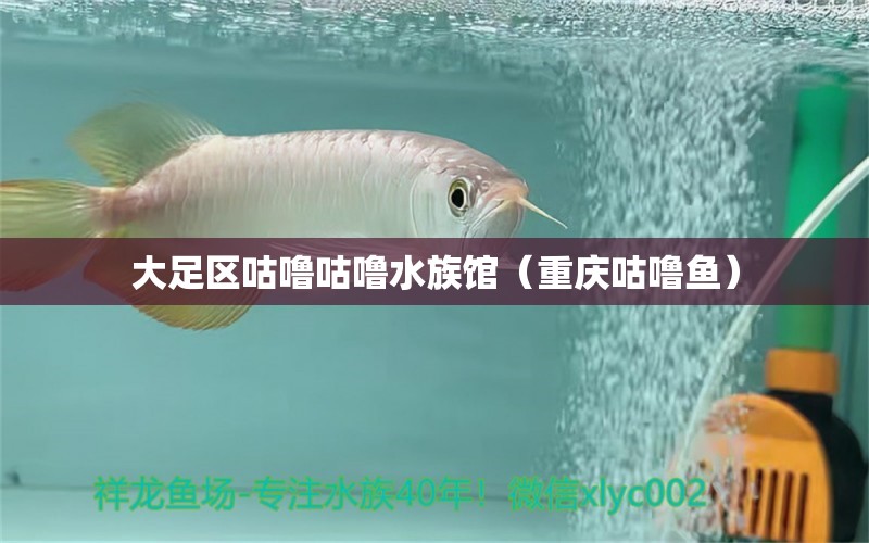 大足區(qū)咕嚕咕嚕水族館（重慶咕嚕魚）