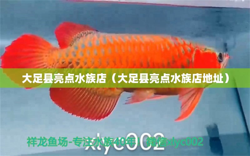 大足縣亮點水族店（大足縣亮點水族店地址）