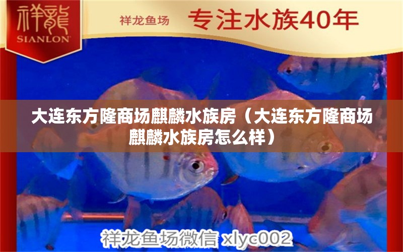 大連東方隆商場(chǎng)麒麟水族房（大連東方隆商場(chǎng)麒麟水族房怎么樣） 全國(guó)水族館企業(yè)名錄