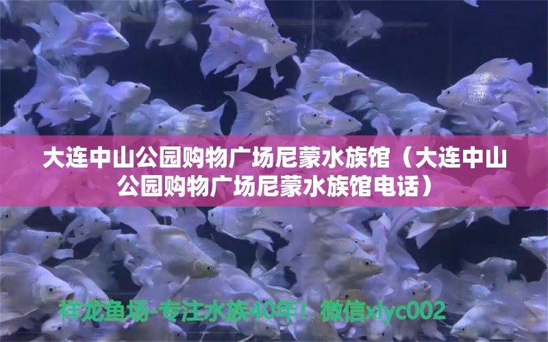 大連中山公園購(gòu)物廣場(chǎng)尼蒙水族館（大連中山公園購(gòu)物廣場(chǎng)尼蒙水族館電話(huà)）