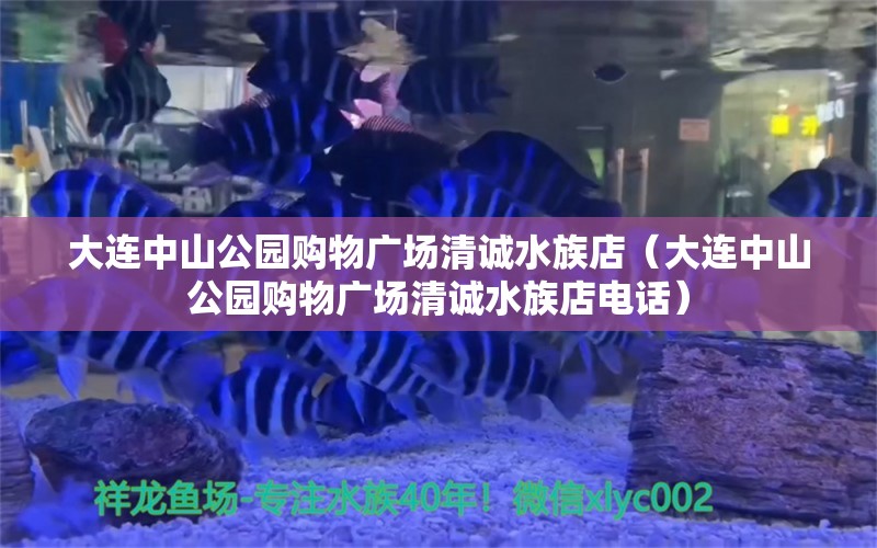 大連中山公園購物廣場(chǎng)清誠水族店（大連中山公園購物廣場(chǎng)清誠水族店電話） 全國水族館企業(yè)名錄