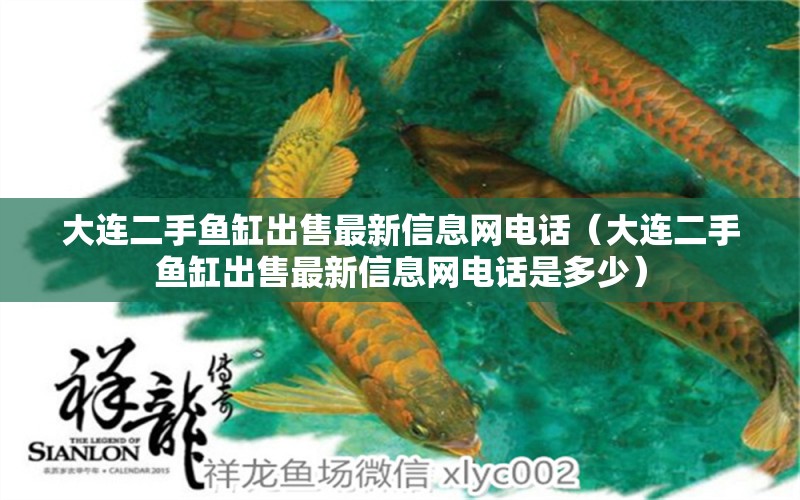 大連二手魚缸出售最新信息網(wǎng)電話（大連二手魚缸出售最新信息網(wǎng)電話是多少） 新加坡三巴旺