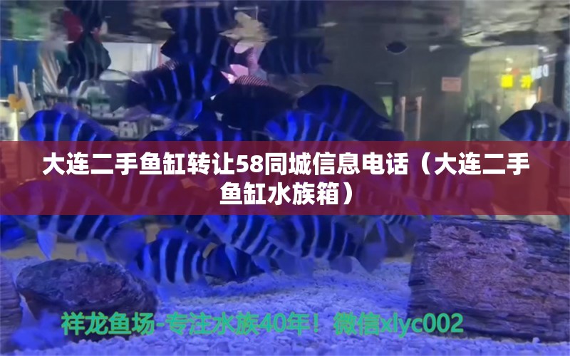 大連二手魚缸轉讓58同城信息電話（大連二手魚缸水族箱）