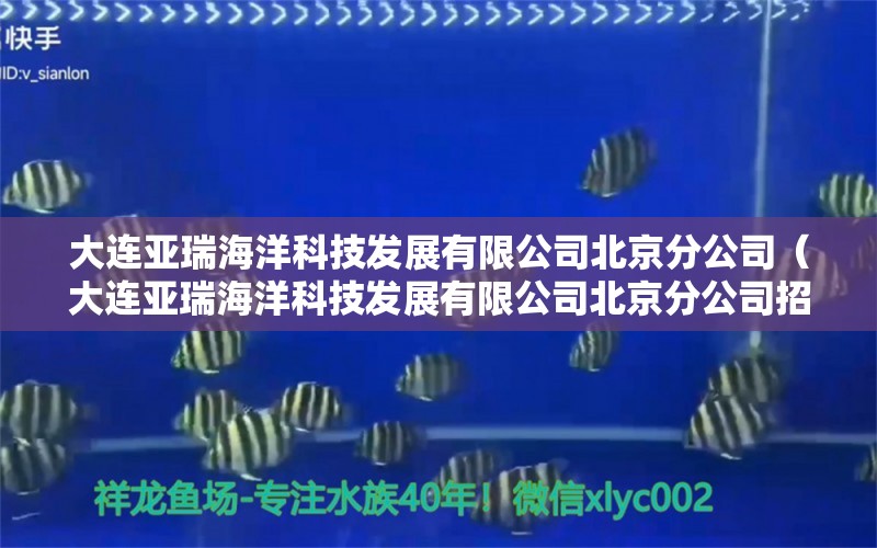 大連亞瑞海洋科技發(fā)展有限公司北京分公司（大連亞瑞海洋科技發(fā)展有限公司北京分公司招聘）