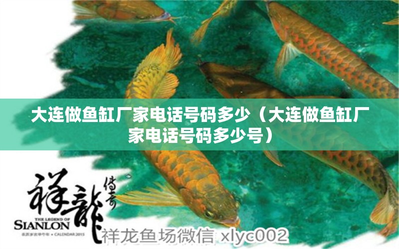 大連做魚缸廠家電話號(hào)碼多少（大連做魚缸廠家電話號(hào)碼多少號(hào)） 祥龍水族醫(yī)院