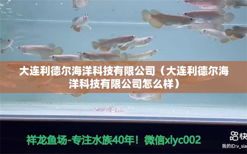 大連利德爾海洋科技有限公司（大連利德爾海洋科技有限公司怎么樣）