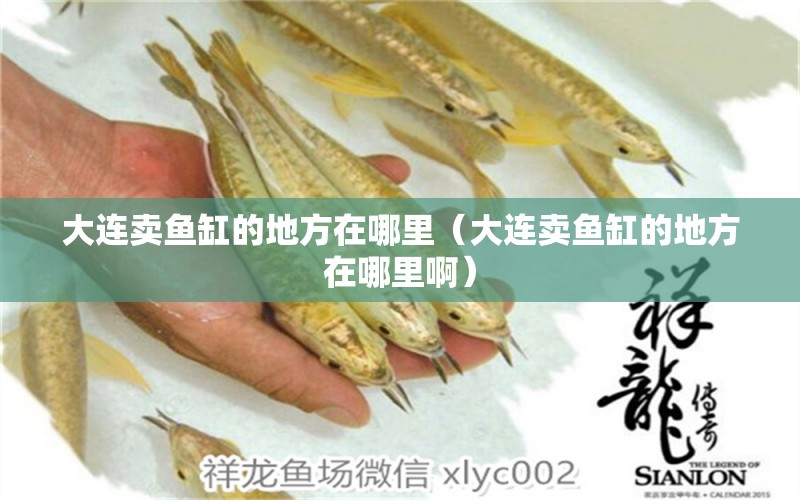 大連賣魚缸的地方在哪里（大連賣魚缸的地方在哪里?。? title=