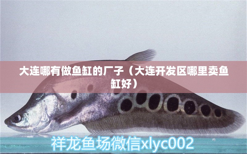 大連哪有做魚缸的廠子（大連開發(fā)區(qū)哪里賣魚缸好） 國產(chǎn)元寶鳳凰魚