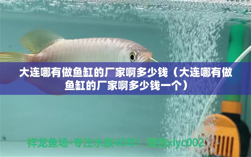 大連哪有做魚缸的廠家啊多少錢（大連哪有做魚缸的廠家啊多少錢一個）