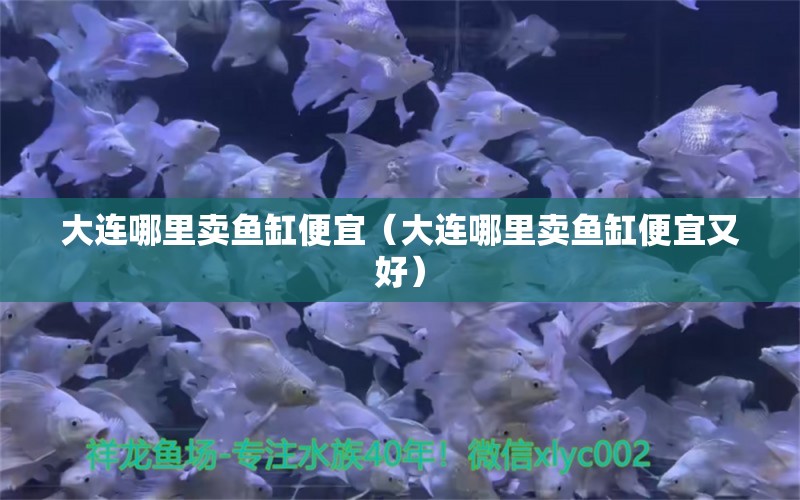 大連哪里賣魚缸便宜（大連哪里賣魚缸便宜又好） 其他品牌魚缸