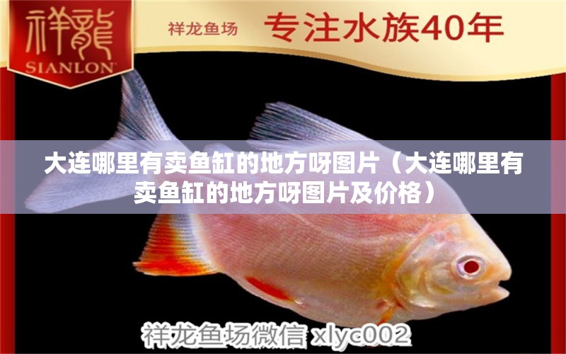 大連哪里有賣魚缸的地方呀圖片（大連哪里有賣魚缸的地方呀圖片及價格） 觀賞魚市場（混養(yǎng)魚）