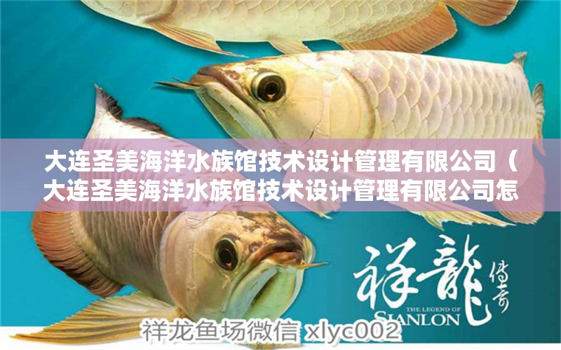 大連圣美海洋水族館技術(shù)設(shè)計(jì)管理有限公司（大連圣美海洋水族館技術(shù)設(shè)計(jì)管理有限公司怎么樣）