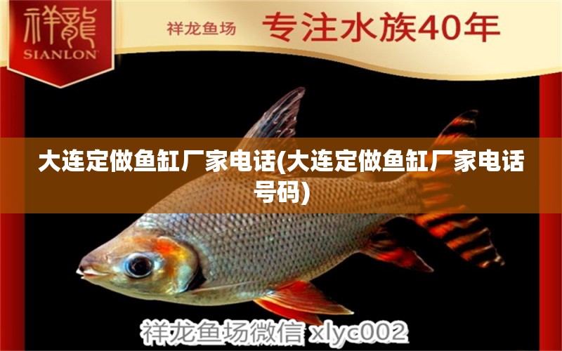 大連定做魚缸廠家電話(大連定做魚缸廠家電話號(hào)碼) 白條過背金龍魚