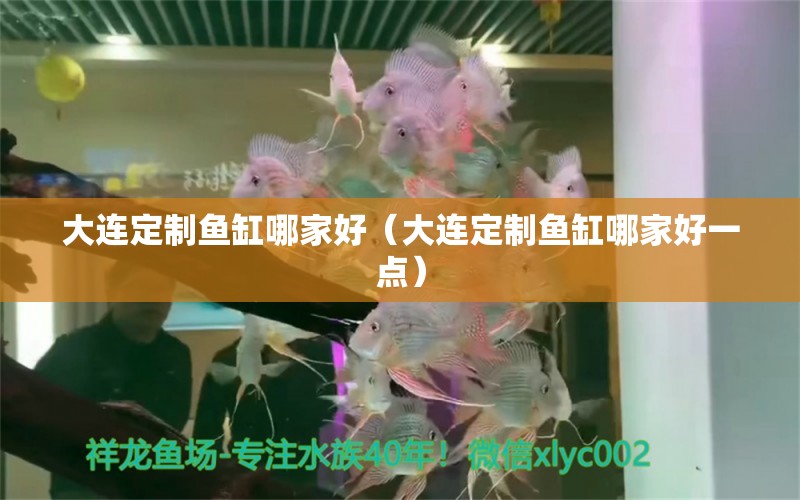 大連定制魚缸哪家好（大連定制魚缸哪家好一點(diǎn)） 其他品牌魚缸